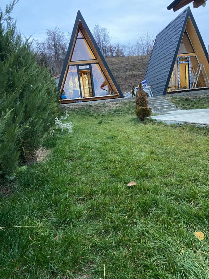 Casute Din Lemn Hotell Jiblea Veche Exteriör bild